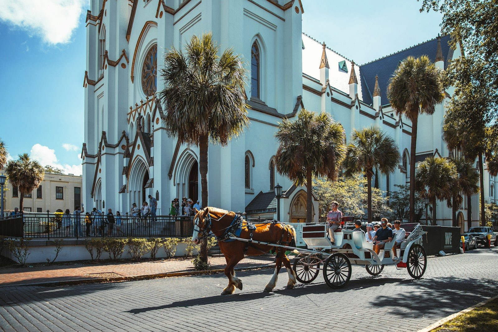 a horse carriage on the street